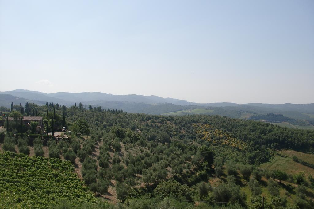 Camera Brogi Vertine Bed and Breakfast Gaiole in Chianti Εξωτερικό φωτογραφία