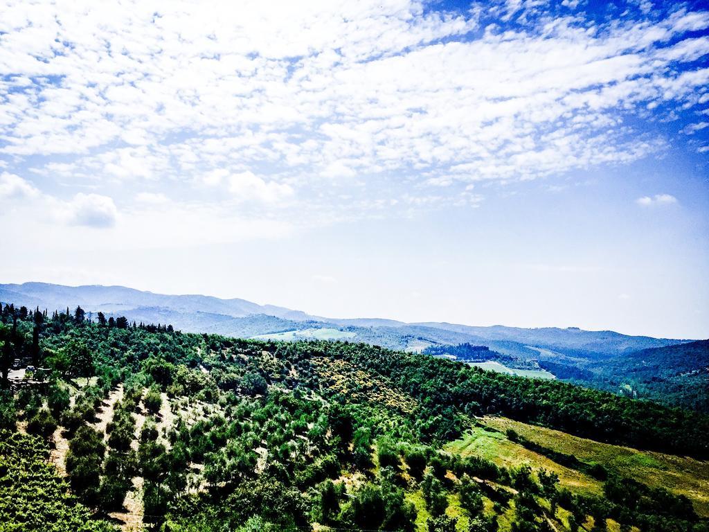 Camera Brogi Vertine Bed and Breakfast Gaiole in Chianti Εξωτερικό φωτογραφία